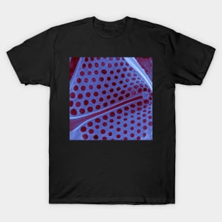 Diatom - Asteromphalus in SEM (internal, purple) T-Shirt